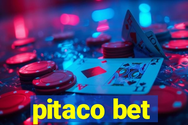 pitaco bet